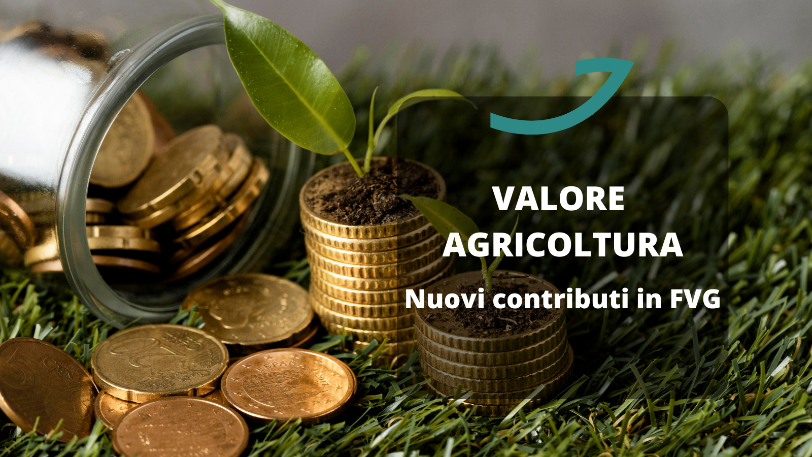 valore agricoltura contributi fvg